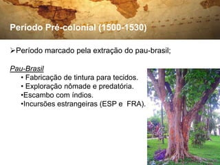 Período Pré-colonial (1500-1530)

Período marcado pela extração do pau-brasil;

Pau-Brasil
   • Fabricação de tintura para tecidos.
   • Exploração nômade e predatória.
   •Escambo com índios.
   •Incursões estrangeiras (ESP e FRA).
 