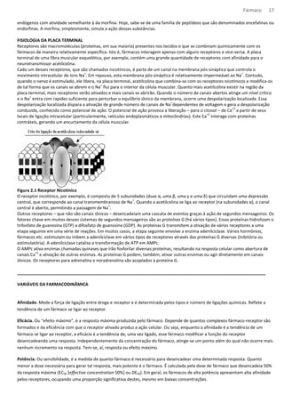 Fármaco 17 
endógenos com atividade semelhante à da morfina. Hoje, sabe-se de uma família de peptídeos que são denominados encefalinas ou 
endorfinas. A morfina, simplesmente, simula a ação dessas substâncias. 
FISIOLOGIA DA PLACA TERMINAL 
Receptores são macromoléculas (proteínas, em sua maioria) presentes nos tecidos e que se combinam quimicamente com os 
fármacos de maneira relativamente específica. Isto é, fármacos interagem apenas com alguns receptores e vice-versa. A placa 
terminal de uma fibra muscular esquelética, por exemplo, contém uma grande quantidade de receptores com afinidade para o 
neurotransmissor acetilcolina. 
Cada um desses receptores, que são chamados nicotínicos, é parte de um canal na membrana pós-sináptica que controla o 
movimento intracelular de íons Na+. Em repouso, esta membrana pós-sináptica é relativamente impermeável ao Na+. Contudo, 
quando o nervo é estimulado, ele libera, na placa terminal, acetilcolina que combina-se com os receptores nicotínicos e modifica-os 
de tal forma que os canais se abrem e o Na+ flui para o interior da célula muscular. Quanto mais acetilcolina existir na região da 
placa terminal, mais receptores serão ativados e mais canais se abrirão. Quando o número de canais abertos atinge um nível crítico 
e o Na+ entra com rapidez suficiente para perturbar o equilíbrio iônico da membrana, ocorre uma despolarização localizada. Essa 
despolarização localizada dispara a ativação de grande número de canais de Na+dependentes de voltagem e gera a despolarização 
conduzida, conhecida como potencial de ação. O potencial de ação provoca a liberação – para o citosol – de Ca+2 a partir de seus 
locais de ligação intracelular (particularmente, retículos endoplasmáticos e mitocôndrias). Este Ca+2 interage com proteínas 
contráteis, gerando um encurtamento da célula muscular. 
Figura 2.1 Receptor Nicotínico 
O receptor nicotínico, por exemplo, é composto de 5 subunidades (duas α, uma β, uma γ e uma δ) que circundam uma depressão 
central, que corresponde ao canal transmembranoso de Na+. Quando a acetilcolina se liga ao receptor (na subunidades α), o canal 
central é aberto, permitindo a passagem de Na+. 
Outros receptores – que não são canais iônicos – desencadeiam uma cascata de eventos graças à ação de segundos mensageiros. Os 
fatores chave em muitos desses sistemas de segundos mensageiros são as proteínas G (há vários tipos). Essas proteínas hidrolizam o 
trifosfato de guanosina (GTP) a difosfato de guanosina (GDP). As proteínas G transmitem a ativação de vários receptores a uma 
etapa seguinte em uma série de reações. Em muitos casos, a etapa seguinte envolve a enzima adenilciclase. Vários hormônios, 
fármacos etc. estimulam ou inibem a adenilciclase em vários tipos de receptores através das proteínas G diversas (inibitória ou 
estimulatória). A adenilciclase catalisa a transformação de ATP em AMPc. 
O AMPc ativa enzimas chamadas quinases que irão fosforilar diversas proteínas, resultando na resposta celular como abertura de 
canais Ca+2 e ativação de outras enzimas. As proteínas G podem, também, ativar outras enzimas ou agir diretamente em canais 
iônicos. Os receptores para adrenalina e noradrenalina são acoplados à proteína G. 
_______________________________________________________________________________________________ 
VARIÁVEIS DA FARMACODINÂMICA 
Afinidade. Mede a força de ligação entre droga e receptor e é determinada pelos tipos e número de ligações químicas. Reflete a 
tendência de um fármaco se ligar ao receptor. 
Eficácia. Ou “efeito máximo”, é a resposta máxima produzida pelo fármaco. Depende de quantos complexos fármaco-receptor são 
formados e da eficiência com que o receptor ativado produz a ação celular. Ou seja, enquanto a afinidade é a tendência de um 
fármaco se ligar ao receptor, a eficácia é a tendência de, uma vez ligado, esse fármaco modificar a função do receptor 
desencadeando uma resposta. Independentemente da concentração do fármaco, atinge-se um ponto além do qual não ocorre mais 
nenhum incremento na resposta. Tem-se, aí, resposta ou efeito máximo. 
Potência. Ou sensibilidade, é a medida de quanto fármaco é necessário para desencadear uma determinada resposta. Quanto 
menor a dose necessária para gerar tal resposta, mais potente é o fármaco. É calculada pela dose de fármaco que desencadeia 50% 
da resposta máxima (EC50 [effective concentration 50%] ou DE50). Em geral, os fármacos de alta potência apresentam alta afinidade 
pelos receptores, ocupando uma proporção significativa destes, mesmo em baixas concentrações. 
 