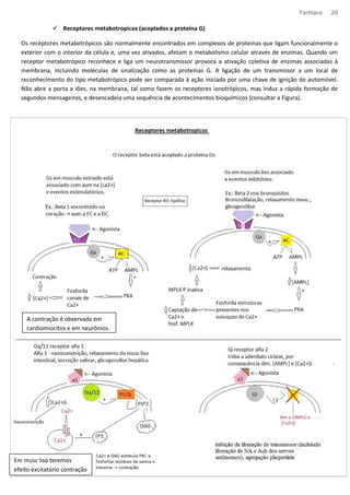 Fármaco 20 
 Receptores metabotropicos (acoplados a proteína G) 
Os receptores metabotrópicos são normalmente encontrados em complexos de proteínas que ligam funcionalmente o 
exterior com o interior da célula e, uma vez ativados, afetam o metabolismo celular através de enzimas. Quando um 
receptor metabotrópico reconhece e liga um neurotransmissor provoca a ativação coletiva de enzimas associadas à 
membrana, incluindo moléculas de sinalização como as proteínas G. A ligação de um transmissor a um local de 
reconhecimento do tipo metabotrópico pode ser comparada à ação iniciada por uma chave de ignição do automóvel. 
Não abre a porta a iões, na membrana, tal como fazem os receptores ionotrópicos, mas induz a rápida formação de 
segundos mensageiros, e desencadeia uma sequência de acontecimentos bioquímicos (consultar a Figura). 
A contração é observada em 
cardiomiocitos e em neurônios. 
Em musc liso teremos 
efeito excitatório contração 
 