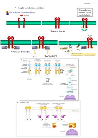 Fármaco 21 
 Receptor com atividade enzimática 
Uma região quer 
fosforilar a outra 
transfoforilação 
 