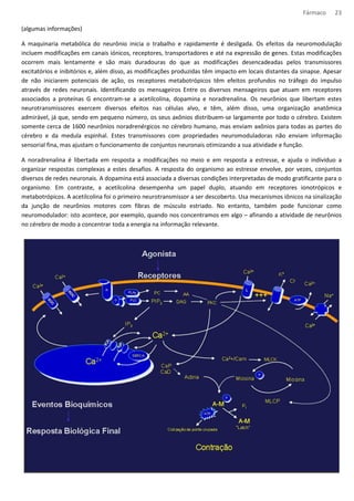 Fármaco 23 
(algumas informações) 
A maquinaria metabólica do neurônio inicia o trabalho e rapidamente é desligada. Os efeitos da neuromodulação 
incluem modificações em canais iónicos, receptores, transportadores e até na expressão de genes. Estas modificações 
ocorrem mais lentamente e são mais duradouras do que as modificações desencadeadas pelos transmissores 
excitatórios e inibitórios e, além disso, as modificações produzidas têm impacto em locais distantes da sinapse. Apesar 
de não iniciarem potenciais de ação, os receptores metabotrópicos têm efeitos profundos no tráfego do impulso 
através de redes neuronais. Identificando os mensageiros Entre os diversos mensageiros que atuam em receptores 
associados a proteínas G encontram-se a acetilcolina, dopamina e noradrenalina. Os neurônios que libertam estes 
neurotransmissores exercem diversos efeitos nas células alvo, e têm, além disso, uma organização anatômica 
admirável, já que, sendo em pequeno número, os seus axônios distribuem-se largamente por todo o cérebro. Existem 
somente cerca de 1600 neurônios noradrenérgicos no cérebro humano, mas enviam axônios para todas as partes do 
cérebro e da medula espinhal. Estes transmissores com propriedades neuromoduladoras não enviam informação 
sensorial fina, mas ajustam o funcionamento de conjuntos neuronais otimizando a sua atividade e função. 
A noradrenalina é libertada em resposta a modificações no meio e em resposta a estresse, e ajuda o indivíduo a 
organizar respostas complexas a estes desafios. A resposta do organismo ao estresse envolve, por vezes, conjuntos 
diversos de redes neuronais. A dopamina está associada a diversas condições interpretadas de modo gratificante para o 
organismo. Em contraste, a acetilcolina desempenha um papel duplo, atuando em receptores ionotrópicos e 
metabotrópicos. A acetilcolina foi o primeiro neurotransmissor a ser descoberto. Usa mecanismos iônicos na sinalização 
da junção de neurônios motores com fibras de músculo estriado. No entanto, também pode funcionar como 
neuromodulador: isto acontece, por exemplo, quando nos concentramos em algo – afinando a atividade de neurônios 
no cérebro de modo a concentrar toda a energia na informação relevante. 
 