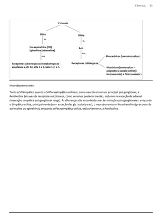 Fármaco 33 
Neurotransmissores: 
Tanto o SNSimpático quanto o SNParassimpático utilizam, como neurotransmissor principal pré-ganglionar, a 
Acetilcolina (através de receptores nicotínicos, como veremos posteriormente), inclusive na exceção da adrenal 
(inervação simpática pré-ganglionar longa). As diferenças são encontradas nas terminações pós-ganglionares: enquanto 
o Simpático utiliza, principalmente (com exceção das gls. sudoríparas), o neurotransmissor Noradrenalina (precursor da 
adrenalina ou epinefrina), enquanto o Parassimpático utiliza, exclusivamente, a Acetilcolina. 
 