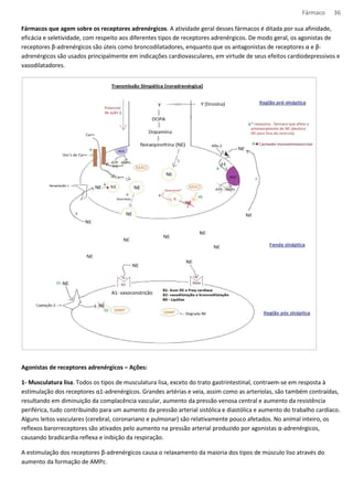 Fármaco 36 
Fármacos que agem sobre os receptores adrenérgicos. A atividade geral desses fármacos é ditada por sua afinidade, 
eficácia e seletividade, com respeito aos diferentes tipos de receptores adrenérgicos. De modo geral, os agonistas de 
receptores β-adrenérgicos são úteis como broncodilatadores, enquanto que os antagonistas de receptores α e β- 
adrenérgicos são usados principalmente em indicações cardiovasculares, em virtude de seus efeitos cardiodepressivos e 
vasodilatadores. 
A1- vasoconstrição 
Agonistas de receptores adrenérgicos – Ações: 
1- Musculatura lisa. Todos os tipos de musculatura lisa, exceto do trato gastrintestinal, contraem-se em resposta à 
estimulação dos receptores α1-adrenérgicos. Grandes artérias e veia, assim como as arteríolas, são também contraídas, 
resultando em diminuição da complacência vascular, aumento da pressão venosa central e aumento da resistência 
periférica, tudo contribuindo para um aumento da pressão arterial sistólica e diastólica e aumento do trabalho cardíaco. 
Alguns leitos vasculares (cerebral, coronariano e pulmonar) são relativamente pouco afetados. No animal inteiro, os 
reflexos barorreceptores são ativados pelo aumento na pressão arterial produzido por agonistas α-adrenérgicos, 
causando bradicardia reflexa e inibição da respiração. 
A estimulação dos receptores β-adrenérgicos causa o relaxamento da maioria dos tipos de músculo liso através do 
aumento da formação de AMPc. 
 