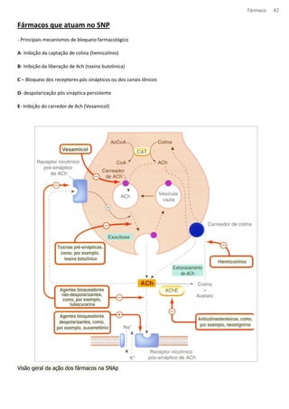 Fármaco 42 
Fármacos que atuam no SNP 
- Principais mecanismos de bloqueio farmacológico 
A- Inibição da captação de colina (hemicolínio) 
B- Inibição da liberação de Ach (toxina butolinica) 
C – Bloqueio dos receptores pós sinápticos ou dos canais iônicos 
D- despolarização pós sináptica persistente 
E- Inibição do carredor de Ach (Vesamicol) 
Visão geral da ação dos fármacos na SNAp 
 