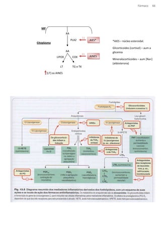 Fármaco 66 
MP 
AA 
PLA2 
AA 
Citoplasma 
LIPOX COX 
LT TG e TX 
AINES 
(-) 
[LT] os AINES 
(-) 
AIES* *AIES – núcleo esteroidal. 
Glicorticoides (cortisol) – aum a 
glicemia 
Mineralocorticoides – aum [Na+] 
(aldosterona) 
 