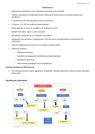 Microbiologia 15

                                                   Enterococcus

   •   Anteriormente classificados como estreptococos do grupo D de Lancefield

   •   Técnicas moleculares de análise taxonômica: diferenças fenotípicas entre as espécies (bioquímica e
       resistência)

   •   E. faecalis: 80 a 90% das infecções humanas enterocócica

   •   E. faecium: 10 a 15% de incidência nestas infecções

   •   Outras espécies: E. avium, E. caseliflavus, E. gallinarum e outros.

   •   Habitam TGI e biliar, vagina e uretra masculina

   •   São agentes importantes de IH e infecções comunitárias

   •   Apresentam R as penicilinas e cefalosporinas, R de alto nível a aminoglicosídeos e recentemente R a
       vancomicina

   •   Possuem Ag lipoteicóico de grupo D de Lancefield na parede celular

   •   Fatores de virulência

           •   Citolisina (hemolisina)

           •   Substância de agregação (transferência de material genético)

           •   Bacteriocina (ação lítica)

           •   Hialuronidase (propagação dos microrganismos)

Doenças causadas por Enterococcus

   •   ITU (infecções do trato urinário), Bacteremia, Endocardite, Infecções abdominais, Sepsia neonatal , Meningite
       (casos raros).



Identificação Laboratorial
 