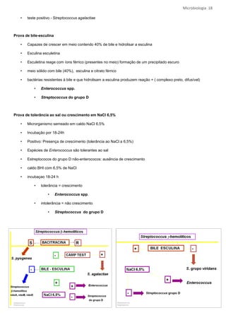 Microbiologia 18

   •   teste positivo - Streptococcus agalactiae



Prova de bile-esculina

   •   Capazes de crescer em meio contendo 40% de bile e hidrolisar a esculina

   •   Esculina esculetina

   •   Esculetina reage com íons férrico (presentes no meio) formação de um precipitado escuro

   •   meio sólido com bile (40%), esculina e citrato férrico

   •   bactérias resistentes à bile e que hidrolisam a esculina produzem reação + ( complexo preto, difusível)

           •   Enterococcus spp.

           •   Streptococcus do grupo D



Prova de tolerância ao sal ou crescimento em NaCl 6,5%

   •   Microrganismo semeado em caldo NaCl 6,5%

   •   Incubação por 18-24h

   •   Positivo: Presença de crescimento (tolerância ao NaCl a 6,5%)

   •   Espécies de Enterococcus são tolerantes ao sal

   •   Estreptococos do grupo D não-enterococos: ausência de crescimento

   •   caldo BHI com 6,5% de NaCl

   •   incubaçao 18-24 h

           •   tolerância = crescimento

                   •     Enterococcus spp.

           •   intolerância = não crescimento

                   •     Streptococcus do grupo D
 