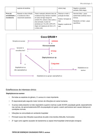 Microbiologia 5

                  espécies de bactérias.                                              cultura (neg)           Negativo- precipitado
                                                                                                              perolado, DNA integro.

Prova de          Baseado na disco difusão,   Teste é realizado utilizando disco de   Observar e medir a      Sensível (halo) – grupo
sensibilidade a   a novabiocina inibe o       novabiocina 5Ug. Semear a bactéria      produção de halos.      epidermides (colônias cinza e
novobiocina       crescimento bacteriano.     em placa de Agar sangue de                                      branca).
                                                                                      Positivo- formação de
                                              carneiro 5%, colocar o disco sobre a
                                                                                      halo                    Resistente (s/ halo) – grupo
                                              área semeada, incubar em
                                                                                                              saprofíticos.
                                              aerobiose por 18 a 24h a 35ºC-2ºC.      Negativo- ausência de
                                              (Agar com espessura de 3mm e 10         halo.
                                              a oitava cels)




Estafilococos de interesse clinico
Staphylococcus aureus

    •      De todas as espécies do gênero, S. aureus é o mais importante.

    •      É responsável pelo segundo maior número de infecções em seres humanos.

    •      S.aureus está presente no trato respiratório superior (narinas e pele 30-50% população geral), especialmente
           nas narinas, de aproximadamente 60% da população em geral, e assim permanece sem causar doença em
           condições normais.

    •      Infecções na comunidade em ambiente hospitalar

    •      Principal causa das infecções supurativas de pele e dos tecidos (foliculite, furúnculos)

    •      2º. lugar como agente causador de bacteremia ou sepse intra-hospitalar (intervenção cirúrgica)




           TIPOS DE DOENÇAS CAUSADAS POR S. aureus
 