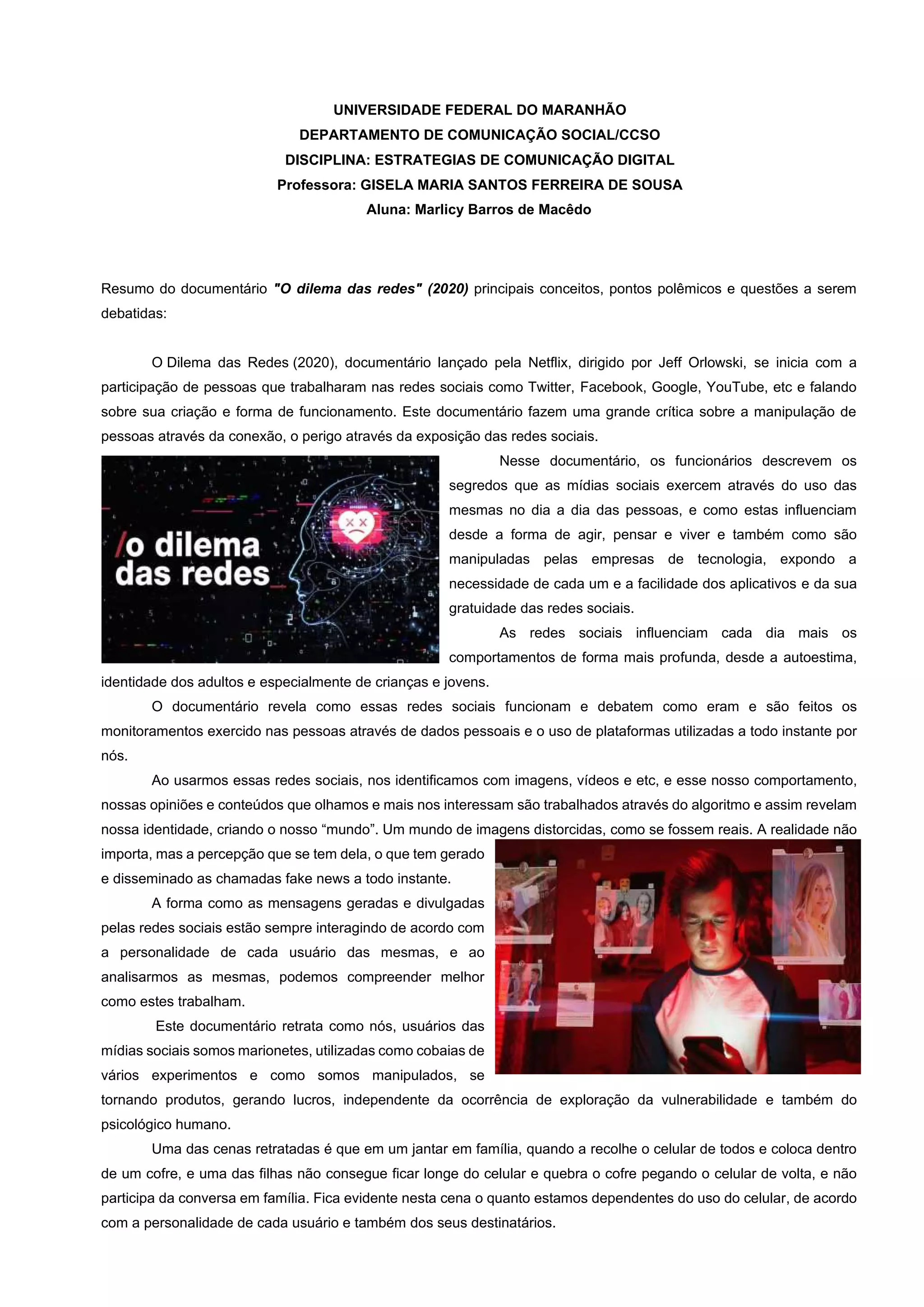 RESUMO - O DILEMA DAS REDES - PROF GISELA.pdf