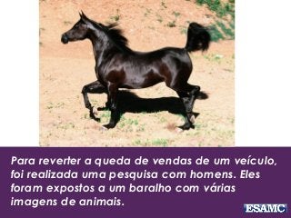 Para reverter a queda de vendas de um veículo,
foi realizada uma pesquisa com homens. Eles
foram expostos a um baralho com várias
imagens de animais.
 