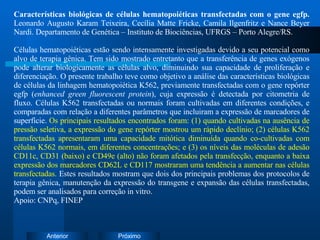 Características biológicas de células hematopoiéticas transfectadas com o gene egfp.  Leonardo Augusto Karam Teixeira, Cecília Matte Fricke, Camila Ilgenfritz e Nance Beyer Nardi. Departamento de Genética – Instituto de Biociências, UFRGS – Porto Alegre/RS. Células hematopoiéticas estão sendo intensamente investigadas devido a seu potencial como alvo de terapia gênica. Tem sido mostrado entretanto que a transferência de genes exógenos pode alterar biologicamente as células alvo, diminuindo sua capacidade de proliferação e diferenciação. O presente trabalho teve como objetivo a análise das características biológicas de células da linhagem hematopoiética K562, previamente transfectadas com o gene repórter egfp ( enhanced green fluorescent protein ), cuja expressão é detectada por citometria de fluxo. Células K562 transfectadas ou normais foram cultivadas em diferentes condições, e comparadas com relação a diferentes parâmetros que incluiram a expressão de marcadores de superfície.  Os principais resultados encontrados foram: (1) quando cultivadas na ausência de pressão seletiva, a expressão do gene repórter mostrou um rápido declínio; (2) células K562 transfectadas apresentaram uma capacidade mitótica diminuída quando co-cultivadas com células K562 normais, em diferentes concentrações; e (3) os níveis das moléculas de adesão CD11c, CD31 (baixo) e CD49e (alto) não foram afetados pela transfecção, enquanto a baixa expressão dos marcadores CD62L e CD117 mostraram uma tendência a aumentar nas células transfectadas.  Estes resultados mostram que dois dos principais problemas dos protocolos de terapia gênica, manutenção da expressão do transgene e expansão das células transfectadas, podem ser analisados para correção in vitro. Apoio: CNPq, FINEP 
