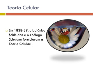 Teoria Celular


   Em 1838-39, o botânico
    Schleiden e o zoólogo
    Schwann formularam a
    Teoria Celular.
 