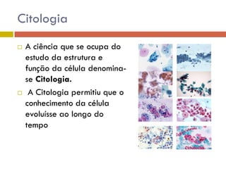 Citologia
   A ciência que se ocupa do
    estudo da estrutura e
    função da célula denomina-
    se Citologia.
    A Citologia permitiu que o
    conhecimento da célula
    evoluísse ao longo do
    tempo
 