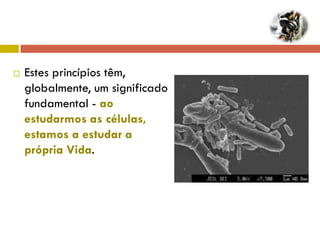   Estes princípios têm,
    globalmente, um significado
    fundamental - ao
    estudarmos as células,
    estamos a estudar a
    própria Vida.
 