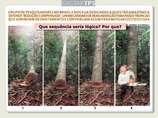 Que sequência seria lógica? Por que? 