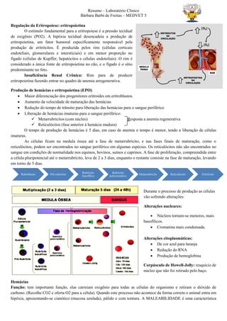 Resumo – Laboratório Clínico
Bárbara Barbi de Freitas – MEDVET 5
Regulação da Eritropoiese: eritropoietina
O estímulo fundamental para a eritropoiese é a pressão tecidual
de oxigênio (PO2). A hipóxia tecidual desencadeia a produção de
eritropoietina, um fator humoral especificamente responsável pela
produção de eritrócitos. É produzida pelos rins (células corticais
endoteliais, glomerulares e intersticiais) e em menor proporção no
fígado (células de Kupffer, hepatócitos e células endoteliais). O rim é
considerado a única fonte de eritropoietina no cão, e o fígado é o sítio
predominante no feto.
Insuficiência Renal Crônica: Rim para de produzir
eritropoietina fazendo entrar no quadro de anemia arregenerativa.
Produção de hemácias e eritropoietina (EPO)
 Maior diferenciação dos progenitores eritroides em eritroblastos.
 Aumento da velocidade de maturação das hemácias
 Redução do tempo de trânsito para liberação das hemácias para o sangue periférico
 Liberação de hemácias imaturas para o sangue periférico:
 Metarrubrícitos (com núcleo) Resposta a anemia regenerativa
 Reticulócitos (fase anterior à hemácia madura)
O tempo de produção de hemácias é 5 dias, em caso de anemia o tempo é menor, tendo a liberação de células
imaturas.
As células ficam na medula óssea até a fase de metarrubrícito, e nas fases finais de maturação, como o
reticulócitos, podem ser encontrados no sangue periférico em algumas espécies. Os reticulócitos não são encontrados no
sangue em condições de normalidade nos equinos, bovinos, suínos e caprinos. A fase de proliferação, compreendida entre
a célula pluripotencial até o metarrubrícito, leva de 2 a 3 dias, enquanto o restante consiste na fase de maturação, levando
em torno de 5 dias.
Durante o processo de produção as células
vão sofrendo alterações:
Alterações nucleares:
 Núcleos tornam-se menores, mais
basofílicos.
 Cromatina mais condensada.
Alterações citoplasmáticas:
 De cor azul para laranja
 Redução do RNA
 Produção de hemoglobina
Corpúsculo de Howell-Jolly: resquício de
núcleo que não foi retirado pelo baço.
Hemácias
Função: tem importante função, elas carreiam oxigênio para todas as células do organismo e retiram o dióxido de
carbono. (Recolhe CO2 e oferta O2 para a célula). Quando este processo não acontece da forma correta o animal entra em
hipóxia, apresentando-se cianótico (mucosa azulada), pálido e com tontura. A MALEABILIDADE é uma característica
Rubriblasto Pró-rubrícito
Rubrícito
basofílico
Rubrícito
policromático
Metarrubrícito Reticulócito Eritrócito
 