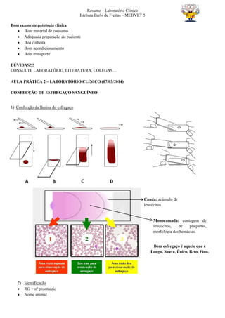 Resumo – Laboratório Clínico
Bárbara Barbi de Freitas – MEDVET 5
Bom exame de patologia clínica
 Bom material de consumo
 Adequada preparação do paciente
 Boa colheita
 Bom acondicionamento
 Bom transporte
DÚVIDAS!!!
CONSULTE LABORATÓRIO, LITERATURA, COLEGAS....
AULA PRÁTICA 2 – LABORATÓRIO CLÍNICO (07/03/2014)
CONFECÇÃO DE ESFREGAÇO SANGUÍNEO
1) Confecção da lâmina do esfregaço
2) Identificação
 RG = nº prontuário
 Nome animal
Cauda: acúmulo de
leucócitos
Monocamada: contagem de
leucócitos, de plaquetas,
morfologia das hemácias.
Bom esfregaço é aquele que é
Longo, Suave, Único, Reto, Fino.
 