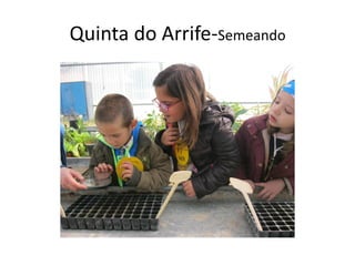 Quinta do Arrife-Semeando
 