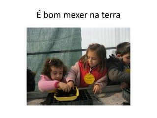 É bom mexer na terra
 