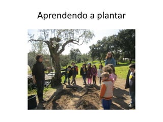 Aprendendo a plantar
 