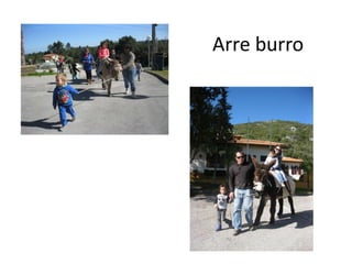 Arre burro
 