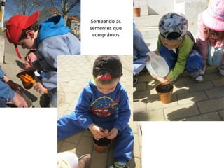 Semeando as
sementes que
comprámos
 