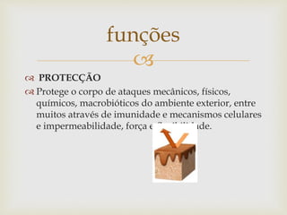 
 PROTECÇÃO
 Protege o corpo de ataques mecânicos, físicos,
químicos, macrobióticos do ambiente exterior, entre
muitos através de imunidade e mecanismos celulares
e impermeabilidade, força e flexibilidade.
funções
 
