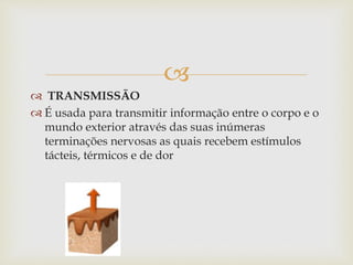 
 TRANSMISSÃO
 É usada para transmitir informação entre o corpo e o
mundo exterior através das suas inúmeras
terminações nervosas as quais recebem estímulos
tácteis, térmicos e de dor
 