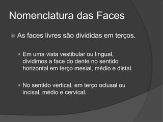 Nomenclatura das Faces
 As faces livres são divididas em terços.
 Em uma vista vestibular ou lingual,
dividimos a face do dente no sentido
horizontal em terço mesial, médio e distal.
 No sentido vertical, em terço oclusal ou
incisal, médio e cervical.
 