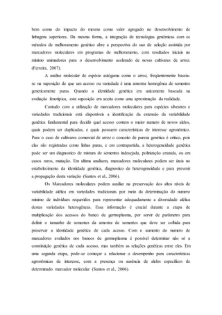 bem como do impacto do mesmo como valor agregado no desenvolvimento de
linhagens superiores. Da mesma forma, a integração de tecnologias genômicas com os
métodos de melhoramento genético abre a perspectiva do uso de seleção assistida por
marcadores moleculares em programas de melhoramento, com resultados iniciais no
mínimo animadores para o desenvolvimento acelerado de novas cultivares de arroz.
(Ferreira, 2007).
A análise molecular de espécie autógama como o arroz, freqüentemente baseia-
se na suposição de que um acesso ou variedade é uma amostra homogênea de sementes
geneticamente puras. Quando a identidade genética era unicamente baseada na
avaliação fenotípica, esta suposição era aceita como uma aproximação da realidade.
Contudo com a utilização de marcadores moleculares para espécies silvestres e
variedades tradicionais está disponíveis a identificação da extensão da variabilidade
genética fundamental para decidir qual acesso contem o maior numero de novos alelos,
quais podem ser duplicadas, e quais possuem características de interesse agronômico.
Para o caso de cultivares comercial de arroz o conceito de pureza genética é critico, pois
elas são registradas como linhas puras, e em contrapartida, a heterogeneidade genética
pode ser um diagnostico de mistura de sementes indesejada, polinização cruzada, ou em
casos raros, mutação. Em ultima analisem, marcadores moleculares podem ser úteis no
estabelecimento da identidade genética, diagnostico de heterogeneidade e para prevenir
a propagação desta variação (Santos et al., 2006).
Os Marcadores moleculares podem auxiliar na preservação dos altos níveis de
variabilidade alélica em variedades tradicionais por meio da determinação do numero
mínimo de indivíduos requeridos para representar adequadamente a diversidade alélica
destas variedades heterogêneas. Essa informação é crucial durante a etapa de
multiplicação dos acessos do banco de germoplasma, por servir de parâmetro para
definir o tamanho de sementes da amostra de sementes que deve ser colhida para
preservar a identidade genética de cada acesso. Com o aumento do numero de
marcadores avaliados nos bancos de germoplasma é possível determinar não só a
constituição genética de cada acesso, mas também as relações genéticas entre eles. Em
uma segunda etapa, pode-se começar a relacionar o desempenho para características
agronômicas de interesse, com a presença ou ausência de alelos específicos de
determinado marcador molecular (Santos et al., 2006).
 