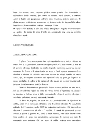 longo dos tempos, tanto empresas públicas como privadas têm desenvolvido e
recomendado novas cultivares, para ambos os sistemas. Neste contexto, a Embrapa
Arroz e Feijão vem pesquisando cultivares mais produtivas, estáveis, precoces, de
plantas eretas e resistentes ao acamamento e a doenças, grãos do tipo agulhinha (classe
longo-fino) e de alta qualidade culinária. (Embrapa, 2011).
O objetivo deste trabalho é fazer uma revisão bibliográfica a respeito do melhoramento
de genético da cultura do arroz levando em consideração uma série de aspectos
discutidos a seguir.
2. DESENVOLVIMENTO
2.1 RECURSOS GENÉTICOS
O gênero Oryza sativa possui duas espécies cultivadas oryza sativa, cultivada no
mundo todo e O. glaberrima, cultivada em alguns países da África ocidental, e mais de
20 espécies silvestres, distribuídas nas regiões tropical e subtropical. Apesar de não ser
um centro de Origem e de domesticação do arroz, o Brasil possuem algumas espécies
silvestres e milhares de cultivares tradicionais, crioulas, ou antigas espécies de Oryza
sativa, que, no conjunto, constituem uma importante fonte de genes, já adaptadas ás
nossas condições de cultivo e de inestimável valor devido ao seu uso potencial pelo
programa de melhoramento genético do arroz.
Ciente da importância de preservação desses recursos genéticos ex. situ, isto é,
fora do seu ambiente original, na forma de coleção nuclear e objetivando sua utilização
na pesquisa, a Embrapa arroz e feijão vem realizando coletas de espécies silvestres e
variedades tradicionais de arroz no território brasileiro.
Do inicio do programa, em 1979, ate 2002, foram realizadas 24 expedições de
coletas, sendo 17 de variedades cultivadas e sete de espécies silvestres. Ao todo, foram
coletadas 2.329 amostras, sendo 2.193 de variedades tradicionais e 136 das espécies
silvestres O. glumaepatula, O. alta e O. latifólia. A espécie O. glumaepatula por ser
diplóide e possuir o genoma AA, como o arroz cultivado, vem sendo utilizada como
fonte doadora de genes para características agronômicas de interesse, por meio de
cruzamento com cultivares elite de arroz. A análise genética com marcadores
 