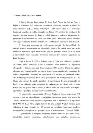 2.6 MANEJO DE GERMOPLASMA
O Banco Ativo de Germoplasma de Arroz (BAG Arroz), da Embrapa Arroz e
Feijão foi criado em 1975 e neste ano ele completa 35 anos de existência. A coleção de
arroz armazenada no BAG Arroz é formada por 11.787 acessos sendo, 2.831 variedades
tradicionais oriundas de coletas realizadas no Brasil, 173 amostras de populações de
espécies silvestres também do Brasil e 8.783 linhagens e cultivares introduzidas de
programas de melhoramento do Brasil e de vários países. Além deste acervo, dispomos
da Coleção Americana de Arroz formada por 17.000 acessos, recebida no final de 2009.
O futuro dos programas de melhoramento depende da disponibilidade de
material genético representativo da diversidade genética da espécie para que novas
variedades melhoradas sejam desenvolvidas. Um dos principais acervos do BAG Arroz
é representado pelas variedades tradicionais cultivadas por pequenos agricultores ao
longo dos anos.
Desde a década de 1970, a Embrapa Arroz e Feijão vem realizando expedições
de coletas destas variedades e ate o momento foram realizadas 19 expedições
abrangendo 14 Estados, nas quais foram coletadas 2.831 amostras. Quanto às espécies
silvestres, que constitui também um acervo único, foram realizadas oito expedições de
coleta e mapeamento, resultando na obtenção de 173 amostras de populações sendo;
107 de Oryza glumaepatula, 40 de Oryza grandiglumis, 14 de Oryza latifolia e 12 de
Oryza alta. Apesar da grande quantidade de germoplasma de arroz armazenado no
BAG, a sua utilização pelos programas de melhoramento do Brasil ainda é muito
restrita. Isto em grande parte é devido à falta de dados de caracterização morfológica,
agronômica e genotípica dos acessos úteis aos melhoristas.
Foi estabelecida e caracterizada a Coleção Nuclear de Arroz, composta de 550
acessos, e que foi disponibilizada à comunidade internacional dentro dos termos do
Tratado Internacional sobre Recursos Fitogenéticos para a Alimentação e a Agricultura
(TIRFAA). O BAG Arroz dispõe também de uma Coleção Nuclear Temática para
Tolerância à Seca formada por 87 acessos de variedades tradicionais brasileira,
caracterizada morfologicamente, genotipicamente e gronômicamente. (Embrapa, 2011)
O germoplasma e manejado envolvendo diversas atividades, tais como: coleta,
intercâmbio, registro, quarentena, estabelecimento das coleções, conservação,
 