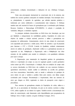 caracterização, avaliação, documentação e indicações de uso. (Embrapa Cernagen,
2011).
Existe uma preocupação internacional na conservação não só da natureza, mas
também dos recursos genéticos ameaçados de imediata destruição. Esta destruição deve-
se, principalmente, à expansão da agricultura, que substitui materiais primitivos e
tradicionais por outros melhorados e economicamente mais vantajosos. A Embrapa
mantém uma rede nacional de bancos de germoplasma que é coordenados pela Embrapa
Recursos Genéticos e Biotecnologia (CENARGEN). A coleção é constituída de
variedades, linhagens e variedades regionais.
As principais atividades desenvolvidas no BAG-Arroz são: Introdução, que tem
por finalidade o enriquecimento da variabilidade genética. Expedições de coleta com
objetivo de ampliar a coleção nacional, preservar e utilizar o germoplasma nos
programas de melhoramento. Armazenamento, através de uma câmara de conservação
com capacidade para preservar, a médio prazo, 300m³ de sementes e que foi projetada
para funcionar a 12ºC e 25%UR. Controle de Qualidade, realizado rotineiramente
através de análises de germinação, objetivando verificar se o germoplasma necessita ser
regenerado ou não. Multiplicação e Regeneração, onde a Multiplicação visa obter
sementes de alta qualidade para atender às solicitações e em quantidades suficientes
para repor o estoque.
A Regeneração, para manutenção da integridade genética do germoplasma,
refere-se à reprodução em campo ou casa de vegetação quando o poder germinativo
estiver menor que 80%. Caracterização e Avaliação, feita em condições de campo onde
os acessos introduzidos no BAG-Arroz são avaliados em seus caracteres botânicos-
agronômicos (descritores), visando auxiliar os melhoristas na escolha dos genótipos
com boas características. Intercâmbio, onde se atende a solicitações de genótipos de
arroz dentro do país e também a pedidos feitos pelo exterior, este último sempre
coordenado pelo Cenargen. Documentação e Arquivamento, feitas nas amostras de
arroz que chegam ao BAG, registrando os dados de passaporte como origem e
procedência.
Para amostras de germoplasma oriundos de Expedições de coleta, utiliza-se a
sigla CA, já as provenientes de Introdução, do país ou do exterior, recebem o código
CNA, ambas seguidas de seu número de registro. Também envolve a documentação dos
dados de caracterização, onde futuramente serão disponibilizados para pesquisadores da
Embrapa Arroz e Feijão e usuários em geral. (Embrapa Cernagen, 2011).
 