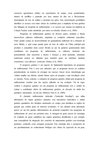 caracteres agronômicos obtidos em experimentos de campo, como produtividade,
número de perfilhos e panículas por área, numero de dias ate o florescimento,
determinação do teor de amilase e proteínas nos grãos. Esta caracterização possibilitara
identificar os acessos com maior chance de contribuir para a ampliação da base genética
das linhagens do programa de melhoramento, e os acessos que estejam em duplicata na
Coleção Nuclear sendo substituído por outros ou retirados (Santos et al., 2006).
Programas de melhoramento genético de diversos países, incluindo o Brasil,
desenvolvem cultivares melhoradas, adaptadas as condições ambientais especificas.
Outro grande avanço no desenvolvimento do germoplasma melhorado foi a obtenção de
arroz hibrido, o qual ocupa grande parte da área de cultivo da China, principal pais
produtor e consumidor deste cereal. Devido ao uso de genitores geneticamente muito
semelhantes em programas de melhoramento, as cultivares modernas são
potencialmente mais suscetíveis a insetos e doenças e, neste particular, variedades
tradicionais podem ser utilizadas para transferir genes de tolerância mediante
cruzamentos com cultivares comerciais (Santos et al., 2006).
O progresso genético é um aspecto de fundamental importância em programas
de melhoramento. Pois é com esse indicador, que os programas devem ser avaliados
periodicamente, na tentativa de averiguar seu sucesso, buscar novas metodologias que
venham ampliar sua eficácia, orientar futuras ações de pesquisa e uma reavaliação sobre
os mesmos. Nesse contexto, a estimativa do progresso genético obtida pelo programa de
melhoramento constitui uma das opções utilizadas na sua avaliação. Via de regra,
verificar o progresso genético em um programa de melhoramento tem o sentido de
estimar a contribuição efetiva do melhoramento genético, na elevação da média dos
genótipos selecionados em um ano. (Barbosa Neto et. al., 2000).
O chamado melhoramento molecular (“molecular breeding”), que utiliza
informações de mapas genéticos saturados com marcadores moleculares e análise
genética quantitativo dos fenótipos mensurados no campo, para identificar as regiões do
genoma que contêm genes de interesse econômico. O uso eficiente desta informação
parece ser um dos grandes diferenciadores do potencial competitivo dos programas de
melhoramento do arroz nos próximos anos. A clonagem de genes através de estratégias
de avaliação de genes candidatos nas regiões genômicas identificadas é, por exemplo,
uma conseqüência da integração dos conceitos de mapeamento genético com tecnologia
genômica, conhecida como clonagem posicional. Esta estratégia abre a perspectiva de
um aprofundamento no conhecimento biológico dos efeitos da expressão de um gene,
 