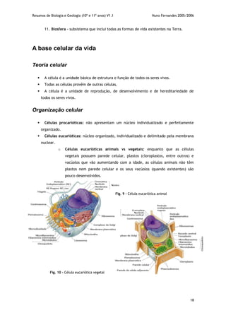Resumos de Biologia e Geologia (10º e 11º anos) V1.1 Nuno Fernandes 2005/2006
18
11. Biosfera – subsistema que inclui todas as formas de vida existentes na Terra.
A base celular da vida
Teoria celular
 A célula é a unidade básica de estrutura e função de todos os seres vivos.
 Todas as células provêm de outras células.
 A célula é a unidade de reprodução, de desenvolvimento e de hereditariedade de
todos os seres vivos.
Organização celular
 Células procarióticas: não apresentam um núcleo individualizado e perfeitamente
organizado.
 Células eucarióticas: núcleo organizado, individualizado e delimitado pela membrana
nuclear.
o Células eucarióticas animais vs vegetais: enquanto que as células
vegetais possuem parede celular, plastos (cloroplastos, entre outros) e
vacúolos que vão aumentando com a idade, as células animais não têm
plastos nem parede celular e os seus vacúolos (quando existentes) são
pouco desenvolvidos.
Fig. 9 – Célula eucariótica animal
Fig. 10 – Célula eucariótica vegetal
 