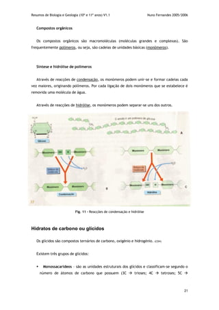 Resumos de Biologia e Geologia (10º e 11º anos) V1.1 Nuno Fernandes 2005/2006
21
Compostos orgânicos
Os compostos orgânicos são macromoléculas (moléculas grandes e complexas). São
frequentemente polímeros, ou seja, são cadeias de unidades básicas (monómeros).
Síntese e hidrólise de polímeros
Através de reacções de condensação, os monómeros podem unir-se e formar cadeias cada
vez maiores, originando polímeros. Por cada ligação de dois monómeros que se estabelece é
removida uma molécula de água.
Através de reacções de hidrólise, os monómeros podem separar-se uns dos outros.
Hidratos de carbono ou glícidos
Os glícidos são compostos ternários de carbono, oxigénio e hidrogénio. (COH)
Existem três grupos de glícidos:
 Monossacarídeos – são as unidades estruturais dos glícidos e classificam-se segundo o
número de átomos de carbono que possuem (3C  trioses; 4C  tetroses; 5C 
Fig. 11 – Reacções de condensação e hidrólise
 