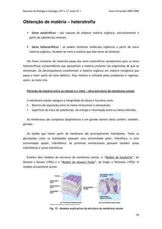 Resumos de Biologia e Geologia (10º e 11º anos) V1.1 Nuno Fernandes 2005/2006
26
Obtenção de matéria – heterotrofia
 Seres autotróficos – são capazes de elaborar matéria orgânica, exclusivamente a
partir de substâncias minerais.
 Seres heterotróficos - só podem sintetizar moléculas orgânicas a partir de outra
matéria orgânica; recebem do meio a matéria que lhes serve de alimento.
Um fluxo constante de materiais passa dos seres autotróficos (produtores) para os seres
heterotróficos (consumidores) que aproveitam a matéria presente nos organismos de que se
alimentam. Os decompositores transformam a matéria orgânica em matéria inorgânica que
passa a fazer parte do meio abiótico. Essa matéria é utilizada pelos produtores e regressa,
assim, ao meio vivo.
Permuta de matéria entre as células e o meio – ultra-estrutura da membrana celular
A membrana celular assegura a integridade da célula e funciona como:
 Barreira de separação entre os meios intracelular e extracelular.
 Superfície de troca de substâncias, de energia e informação entre os meios referidos.
As membranas são complexos lipoproteicos e um grande número delas contém, também,
glícidos.
Os lípidos que fazem parte da membrana são principalmente fosfolípidos. Tanto os
glicolípidos como os fosfolípidos possuem uma extremidade polar, hidrofílica, e uma
extremidade apolar, hidrofóbica. As proteínas membranares possuem também zonas
hidrofóbicas e zonas hidrofílicas.
Existem dois modelos de estrutura da membrana celular, o “Modelo de Sanduíche”, de
Danielli e Davson (1952) e o “Modelo de mosaico fluido”, de Singer e Nicholson (1972) 
modelo actualmente aceite.
Fig. 15 – Modelos explicativos da estrutura da membrana celular
 