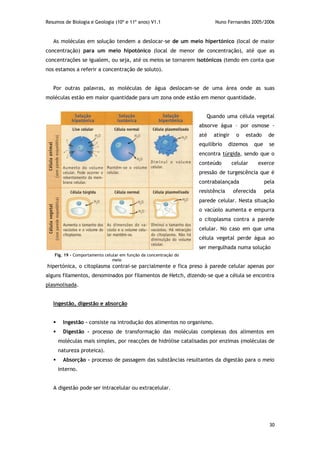Resumos de Biologia e Geologia (10º e 11º anos) V1.1 Nuno Fernandes 2005/2006
30
As moléculas em solução tendem a deslocar-se de um meio hipertónico (local de maior
concentração) para um meio hipotónico (local de menor de concentração), até que as
concentrações se igualem, ou seja, até os meios se tornarem isotónicos (tendo em conta que
nos estamos a referir a concentração de soluto).
Por outras palavras, as moléculas de água deslocam-se de uma área onde as suas
moléculas estão em maior quantidade para um zona onde estão em menor quantidade.
Quando uma célula vegetal
absorve água – por osmose -
até atingir o estado de
equilíbrio dizemos que se
encontra túrgida, sendo que o
conteúdo celular exerce
pressão de turgescência que é
contrabalançada pela
resistência oferecida pela
parede celular. Nesta situação
o vacúolo aumenta e empurra
o citoplasma contra a parede
celular. No caso em que uma
célula vegetal perde água ao
ser mergulhada numa solução
hipertónica, o citoplasma contrai-se parcialmente e fica preso à parede celular apenas por
alguns filamentos, denominados por filamentos de Hetch, dizendo-se que a célula se encontra
plasmolisada.
Ingestão, digestão e absorção
 Ingestão – consiste na introdução dos alimentos no organismo.
 Digestão – processo de transformação das moléculas complexas dos alimentos em
moléculas mais simples, por reacções de hidrólise catalisadas por enzimas (moléculas de
natureza proteica).
 Absorção – processo de passagem das substâncias resultantes da digestão para o meio
interno.
A digestão pode ser intracelular ou extracelular.
Fig. 19 – Comportamento celular em função da concentração do
meio
 