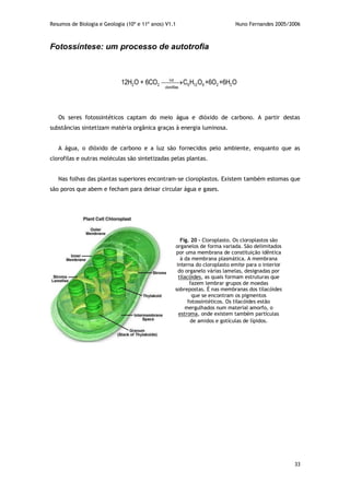 Resumos de Biologia e Geologia (10º e 11º anos) V1.1 Nuno Fernandes 2005/2006
33
Fotossíntese: um processo de autotrofia
luz
2 2 6 12 6 2 2
clorofilas
12H O + 6CO C H O +6O +6H O
Os seres fotossintéticos captam do meio água e dióxido de carbono. A partir destas
substâncias sintetizam matéria orgânica graças à energia luminosa.
A água, o dióxido de carbono e a luz são fornecidos pelo ambiente, enquanto que as
clorofilas e outras moléculas são sintetizadas pelas plantas.
Nas folhas das plantas superiores encontram-se cloroplastos. Existem também estomas que
são poros que abem e fecham para deixar circular água e gases.
Fig. 20 – Cloroplasto. Os cloroplastos são
organelos de forma variada. São delimitados
por uma membrana de constituição idêntica
à da membrana plasmática. A membrana
interna do cloroplasto emite para o interior
do organelo várias lamelas, designadas por
tilacóides, as quais formam estruturas que
fazem lembrar grupos de moedas
sobrepostas. É nas membranas dos tilacóides
que se encontram os pigmentos
fotossintéticos. Os tilacóides estão
mergulhados num material amorfo, o
estroma, onde existem também partículas
de amidos e gotículas de lípidos.
 