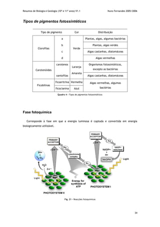 Resumos de Biologia e Geologia (10º e 11º anos) V1.1 Nuno Fernandes 2005/2006
34
Tipos de pigmentos fotossintéticos
Tipo de pigmento Cor Distribuição
Clorofilas
a
Verde
Plantas, algas, algumas bactérias
b Plantas, algas verdes
c Algas castanhas, diatomáceas
d Algas vermelhas
Carotenóides
carotenos
Laranja
Amarela
Organismos fotossintéticos,
excepto as bactérias
xantofilas Algas castanhas, diatomáceas
Ficobilinas
ficoeritrina Vermelha Algas vermelhas, algumas
bactériasficocianina Azul
Quadro 4 – Tipos de pigmentos fotossintéticos
Fase fotoquímica
Corresponde à fase em que a energia luminosa é captada e convertida em energia
biologicamente utilizável.
Fig. 21 – Reacções fotoquímicas
 