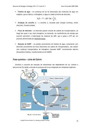 Resumos de Biologia e Geologia (10º e 11º anos) V1.1 Nuno Fernandes 2005/2006
35
 Fotólise da água – em presença da luz há dissociação das moléculas de água em
oxigénio, que se liberta, e hidrogénio. A água é o dador primário de electrões.
luz + -
2 2
1
H O 2H +2e + O
2

 Oxidação da clorofila a – a clorofila a, excitada pela energia luminosa, emite
electrões, ficando oxidada.
 Fluxo de electrões – os electrões passam através de cadeias de transportadores, ao
longo dos quais o seu nível energético vai baixando. As transferências de energia que
ocorrem permitem a fosforilação da molécula de ADP, que a passa a ATP por um
processo denominado por fotofosforilação.
 Redução do NADP+
- os protões provenientes da fotólise da água, juntamente com
electrões provenientes do fluxo electrónico da cadeia de transportadores, vão reduzir
uma molécula transportadora de hidrogénio chamada NADP+
(nicotinamida adenina
dinucleótico fosfato), transformando-se em NADPH.
Fase química – ciclo de Calvin
Constitui o conjunto de reacções da fotossíntese não dependentes da luz. Analisa o
percurso do CO2 desde a entrada no processo até à sua integração em compostos orgânicos.
Fig. 22 – Ciclo de Calvin
 