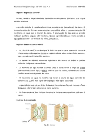 Resumos de Biologia e Geologia (10º e 11º anos) V1.1 Nuno Fernandes 2005/2006
39
Hipótese da pressão radicular
Na raíz, devido a forças osmóticas, desenvolve-se uma pressão que leva a que a água
ascenda no xilema.
A pressão radicular é causada pela contínua acumulação de iões pela raíz da planta. O
transporte activo dos iões para a raíz aumenta o potencial de soluto e, consequentemente, há
movimento de água para o interior da planta. A acumulação de água provoca pressão
radicular, que força a água a subir no xilema. Quando a pressão radicular é muito elevada, a
água pode ascender e ser libertada nas folhas, por gutação.
Hipótese da tensão-coesão-adesão
 As células do mesófilo perdem água  défice de água na parte superior da planta 
cria-se uma pressão negativa – tensão. A concentração de soluto nestas células aumenta,
logo a pressão osmótica também aumenta.
 As células do mesófilo tornam-se hipertónicas em relação ao xilema e passam
moléculas de água para essas células.
 As moléculas de água mantêm-se unidas umas às outras devido a forças de coesão
(entre as moléculas de água) e adesão (entre a água e o xilema), formando uma coluna
contínua e aderindo às paredes dos vasos.
 O movimento de água no mesófilo faz mover a coluna de água (corrente de
transpiração). Quanto mais rápida a transpiração, mais rápida a ascensão.
 A ascensão de água cria um défice de água no xilema da raíz, fazendo com que o fluxo
de água do exterior para o interior da planta aumente.
 Há fluxo passivo de água de áreas de potencial de água maior para áreas onde este é
menor.
Controlo da transpiração
Fig. 25 - Estomas
Ostíolo
 