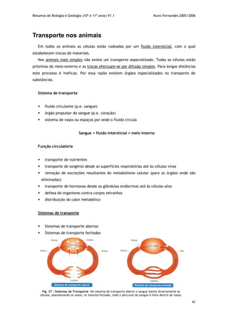 Resumos de Biologia e Geologia (10º e 11º anos) V1.1 Nuno Fernandes 2005/2006
41
Transporte nos animais
Em todos os animais as células estão rodeadas por um fluido intersticial, com o qual
estabelecem trocas de materiais.
Nos animais mais simples não existe um transporte especializado. Todas as células estão
próximas do meio externo e as trocas efectuam-se por difusão simples. Para longas distâncias
este processo é ineficaz. Por essa razão existem órgãos especializados no transporte de
substâncias.
Sistema de transporte
 fluido circulante (p.e. sangue)
 órgão propulsor do sangue (p.e. coração)
 sistema de vasos ou espaços por onde o fluido circula
Sangue + fluido intersticial = meio interno
Função circulatória
 transporte de nutrientes
 transporte de oxigénio desde as superfícies respiratórias até às células vivas
 remoção de excreções resultantes do metabolismo celular (para os órgãos onde são
eliminadas)
 transporte de hormonas desde as glândulas endócrinas até às células-alvo
 defesa do organismo contra corpos estranhos
 distribuição do calor metabólico
Sistemas de transporte
 Sistemas de transporte abertos
 Sistemas de transporte fechados
Fig. 27 – Sistemas de Transporte. No sistema de transporte aberto o sangue banha directamente as
células, abandonando os vasos; no sistema fechado, todo o percurso do sangue é feito dentre de vasos.
 
