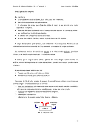 Resumos de Biologia e Geologia (10º e 11º anos) V1.1 Nuno Fernandes 2005/2006
43
Circulação dupla completa
Ex: mamíferos
 O coração tem quatro cavidades, duas aurículas e dois ventrículos.
 Não há possibilidade de mistura de sangue.
 A oxigenação do sangue que chega às células é maior, o que permite uma maior
capacidade energética.
 A parede dos vasos capilares é muito fina e constituída por uma só camada de células,
o que facilita o intercâmbio de substâncias.
 As artérias têm uma parede espessa e elástica.
 As veias têm paredes flácidas e menos espessas do que as das artérias.
A função do coração é gerar pressão, que condiciona o fluxo sanguíneo. As válvulas que
nele existem determinam o sentido do fluxo, evitando o retrocesso do sangue no sistema.
Os movimentos rítmicos de contracção (sístole) e de relaxamento (diástole), provocam
diferenças de pressão responsáveis pela circulação do sangue.
A pressão que o sangue exerce sobre a parede dos vasos atinge o valor máximo nas
artérias, diminui ao longo das arteríolas e dos capilares, apresentando valores quase nulos na
veia cava.
A pressão sanguínea é determinada por:
 Pressão exercida pelos ventrículos em sístole
 Resistência oferecida pelas arteríolas ao fluxo
Nas veias, devido à baixa pressão do sangue, é necessário que existam mecanismos que
contribuam para o regresso do sangue ao coração:
 Músculos esqueléticos que rodeiam as veias e que ao contraírem exercem compressão
sobre as veias e consequentemente pressão sobre o sangue que nelas circula.
 Válvulas que impedem o retrocesso da corrente sanguínea.
 Movimentos respiratórios.
 Abaixamento da pressão nas aurículas durante a diástole.
Pulmões
Coração
Diferentes
órgãos
Fig. 29 – Circulação dupla
 