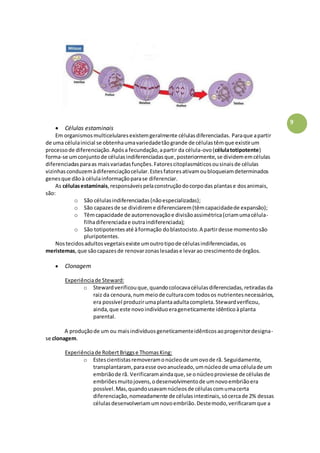 9
 Células estaminais
Em organismosmulticelularesexistemgeralmente célulasdiferenciadas. Paraque apartir
de uma célulainicial se obtenhaumavariedadetãogrande de célulastêmque existirum
processode diferenciação.Apósa fecundação,apartir da célula-ovo(célulatotipotente)
forma-se umconjuntode célulasindiferenciadasque, posteriormente, se dividememcélulas
diferenciadasparaas maisvariadasfunções.Fatorescitoplasmáticosousinaisde células
vizinhasconduzemàdiferenciaçãocelular.Estesfatoresativamoubloqueiamdeterminados
genesque dãoà célulainformaçãoparase diferenciar.
As célulasestaminais,responsáveispelaconstruçãodocorpodas plantase dosanimais,
são:
o São célulasindiferenciadas(nãoespecializadas);
o São capazesde se dividireme diferenciarem(têmcapacidadede expansão);
o Têmcapacidade de autorrenovaçãoe divisãoassimétrica(criamumacélula-
filhadiferenciadae outraindiferenciada);
o São totipotentesaté àformação doblastocisto.A partirdesse momentosão
pluripotentes.
Nostecidosadultosvegetaisexiste umoutrotipode célulasindiferenciadas,os
meristemas,que sãocapazesde renovarzonaslesadase levarao crescimentode órgãos.
 Clonagem
Experiênciade Steward:
o Stewardverificouque,quandocolocavacélulasdiferenciadas,retiradasda
raiz da cenoura,nummeiode culturacom todosos nutrientesnecessários,
era possível produzirumaplantaadultacompleta.Stewardverificou,
ainda,que este novoindivíduoerageneticamente idênticoàplanta
parental.
A produçãode um ou maisindivíduosgeneticamenteidênticosaoprogenitordesigna-
se clonagem.
Experiênciade RobertBriggse ThomasKing:
o Estescientistasremoveramonúcleode umovode rã. Seguidamente,
transplantaram,paraesse ovoanucleado,umnúcleode umacélulade um
embriãode rã. Verificaramaindaque,se onúcleoproviesse de célulasde
embriõesmuitojovens,odesenvolvimentode umnovoembriãoera
possível.Mas,quandousavamnúcleosde célulascomumacerta
diferenciação,nomeadamente de célulasintestinais,sócercade 2% dessas
célulasdesenvolveriamumnovoembrião.Destemodo,verificaramque a
 