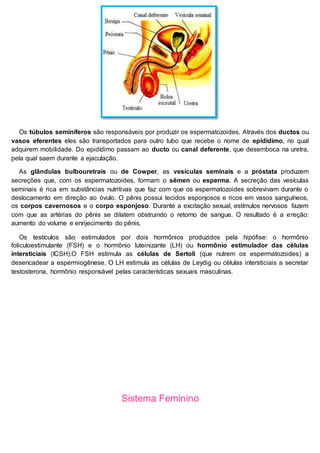 Os túbulos seminíferos são responsáveis por produzir os espermatozoides. Através dos ductos ou
vasos eferentes eles são transportados para outro tubo que recebe o nome de epidídimo, no qual
adquirem mobilidade. Do epidídimo passam ao ducto ou canal deferente, que desemboca na uretra,
pela qual saem durante a ejaculação.
As glândulas bulbouretrais ou de Cowper, as vesículas seminais e a próstata produzem
secreções que, com os espermatozoides, formam o sêmen ou esperma. A secreção das vesículas
seminais é rica em substâncias nutritivas que faz com que os espermatozoides sobrevivam durante o
deslocamento em direção ao óvulo. O pênis possui tecidos esponjosos e ricos em vasos sanguíneos,
os corpos cavernosos e o corpo esponjoso. Durante a excitação sexual, estímulos nervosos fazem
com que as artérias do pênis se dilatem obstruindo o retorno de sangue. O resultado é a ereção:
aumento do volume e enrijecimento do pênis.
Os testículos são estimulados por dois hormônios produzidos pela hipófise: o hormônio
foliculoestimulante (FSH) e o hormônio luteinizante (LH) ou hormônio estimulador das células
intersticiais (ICSH).O FSH estimula as células de Sertoli (que nutrem os espermatozoides) a
desencadear a espermiogênese. O LH estimula as células de Leydig ou células intersticiais a secretar
testosterona, hormônio responsável pelas características sexuais masculinas.
Sistema Feminino
 