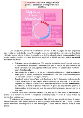 Uma vez por mês, em media, o ovário lança um cito II na tuba (ovulação) e o útero prepara-se
para receber um embrião. Se houver fecundação, o embrião se implantara e crescera no útero. Caso
não haja, a parte interna do útero desmancha-se e é eliminada pela vagina (menstruação). Esses
acontecimentos no ovário e no útero é controlada pelo FSH e pelo LH e constitui o ciclo menstrual,
dividido em três fases:
 Folicular- cresce estimulado pelo FSH e produz estrogênios, hormônios que provocam
o crescimento do endométrio, membrana que forra o útero e na qual o embrião se
fixará e crescerá. Em geral, apenas um foliculo9 termina seu crescimento e transforma-
se em folículo maduro.
 Secretória- sob ação do LH, o folículo rompido transforma-se no corpo amarelo ou
lúteo, glândula secreta estrogênio e progesterona. Esta torna o endométrio espesso,
vascularizado e cheio de secreções nutritivas.
 Menstrual- o útero “espera” pelo embrião ate cerca de 14 dias após a ovulação; se não
ocorrer fecundação e não chegar nenhum embrião ate esse dia , o corpo lúteo
degenera ao longo da 2º fase do ciclo, transforma-se em uma “cicatriz” (corpo branco
ou albicans) e deixa de produzir hormônios. A queda de progesterona provoca a
degeneração e a eliminação de parte do endométrio (menstruação que dura de três a
sete dias).
A primeira menstruação chama-se menarca. Por volta dos 50 anos ocorre a menopausa: a
ovulação e a menstruação tornam-se irregulares e interrompem-se por causa d aqueda na taxa de
estrogênio e progesterona.
O ovulo pode ser fecundando em um pra de 24 a 36 horas após ter sido eliminado do ovário.
Alguns espermatozoides podem permanecer vivos no sistema genital feminino por 72 horas (ou mais).
Assim, uma mulher pode engravidar se tiver uma relação 72 horas antes da ovulação e ate 36 horas
depois.
 