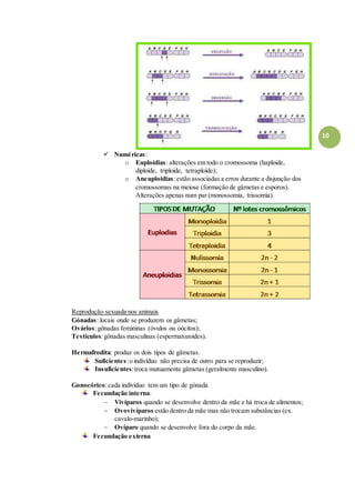 10
 Numéricas:
o Euploidias: alterações em todo o cromossoma (haploide,
diploide, triploide, tetraploide);
o Aneuploidias:estão associadas a erros durante a disjunção dos
cromossomas na meiose (formação de gâmetas e esporos).
Alterações apenas num par (monossomia, trissomia).
Reprodução sexuada nos animais
Gónadas: locais onde se produzem os gâmetas;
Ovários:gônadas femininas (óvulos ou oócitos);
Testículos:gônadas masculinas (espermatozoides).
Hermafrodita: produz os dois tipos de gâmetas.
Suficientes:o indivíduo não precisa de outro para se reproduzir;
Insuficientes:troca mutuamente gâmetas (geralmente masculino).
Gonocórico:cada indivíduo tem um tipo de gónada
Fecundação interna:
 Vivíparos quando se desenvolve dentro da mãe e há troca de alimentos;
 Ovovivíparos estão dentro da mãe mas não trocam substâncias (ex.
cavalo-marinho);
 Ovíparo quando se desenvolve fora do corpo da mãe.
Fecundação externa
 