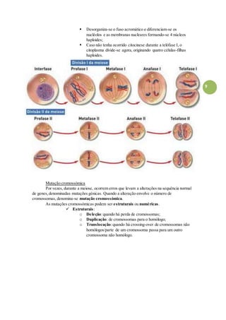 9
 Desorganiza-se o fuso acromático e diferenciam-se os
nucléolos e as membranas nucleares formando-se 4 núcleos
haploides;
 Caso não tenha ocorrido citocinese durante a telófase I, o
citoplasma divide-se agora, originando quatro células-filhas
haploides.
Mutação cromossómica
Por vezes, durante a meiose, ocorrem erros que levam a alterações na sequência normal
de genes,denominadas mutações génicas. Quando a alteração envolve o número de
cromossomas, denomina-se mutação cromossómica.
As mutações cromossómicas podem ser estruturais ou numéricas.
 Estruturais:
o Deleção:quando há perda de cromossomas;
o Duplicação: de cromossomas para o homólogo;
o Translocação:quando há crossing-over de cromossomas não
homólogos/parte de um cromossoma passa para um outro
cromossoma não homólogo.
 