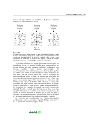 1 Introdução à Bioquímica • 9
líquido de água através da membrana. A pressão osmótica
depende da concentração do soluto.
Figura 1.3
Pressão osmótica. A água difunde do lado A (mais diluído) para o lado
B (mais concentrado). O equilíbrio entre as soluções nos dois lados da
membrana semipermeável é atingido quando não houver mais
movimento de moléculas de água do lado A para o lado B. A pressão
osmótica interrompe o fluxo de água através da membrana.
A pressão osmótica cria alguns problemas críticos para os
organismos vivos. As células contêm altas concentrações de
alguns solutos, que são, pequenas moléculas orgânicas e sais
iônicos, também como, baixas concentrações de
macromoléculas. Conseqüentemente, as células podem ganhar
ou perder água devido a concentração de soluto em relação ao
seu meio. Se as células estão em solução isotônica (a
concentração de soluto e água é a mesma nos dois lados da
membrana plasmática seletivamente permeável) e a célula nem
ganha nem perde água. Por exemplo, os eritrócitos são
isotônicos em solução de NaCl a 0,9%. Quando as células são
colocadas em uma solução com concentração baixa de soluto
(solução hipotônica) a água se move para o interior das células.
Os eritrócitos, por exemplo, se distende e se rompe em processo
chamado hemólise quando eles são imersos em água pura. Nas
soluções hipertônicas, aquelas com maior concentrações de
soluto, as células murcham à medida que a água flui para a
solução. Em solução hipertônica (por exemplo, solução de NaCl
a 3%), os eritrócitos murcham e são denominados crenados.
Um aumento da osmolaridade no plasma desencadeia
rapidamente a sede, provocando a ingestão de água para diluir o
Na+
e reajustar a osmoralidade para baixo.
Água
Soluto
Membrana
permeável
seletiva
Membrana
permeável
seletiva
Membrana
permeável
seletiva
 